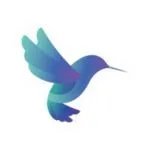 Flutter Agency