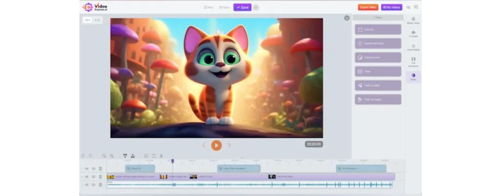 VideoExpress