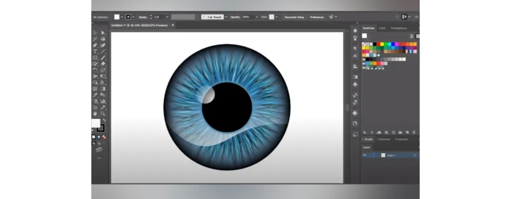 Adobe Illustrator Software