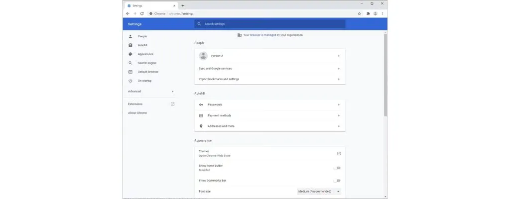 Google Chrome Software